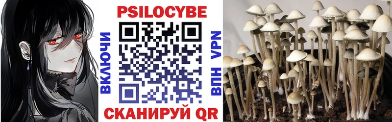 Галлюциногенные грибы Cubensis  Арск 
